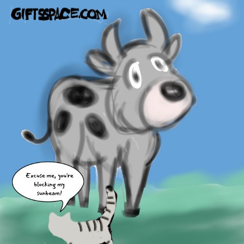 cat staring at the cow