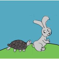 Hare And The Tortoise Race