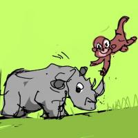 Monkey And The Rhino Are Friends