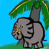 Musings of an Indian Elephant