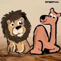 The Lion Cub Helped By The Camel