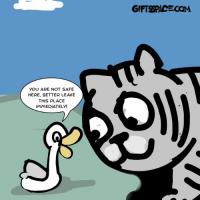 Why this cat stopped hunting the ducks