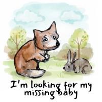 The Bunny Detective
