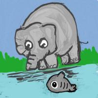 Fish And The Elephant