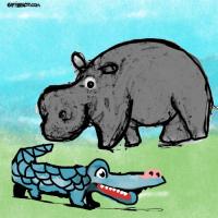 Welcoming The New Hippo King