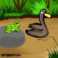 Big Adventure Of A Duck And The Frog