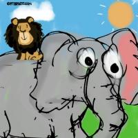 The Bumpy Ride Of The Lion