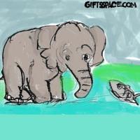 Elephant And The Fish