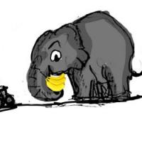 This Elephant Loves Bananas