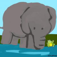 Elephant And The Frog