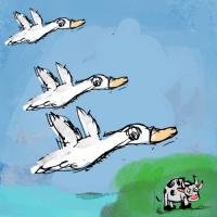 Migratory Birds