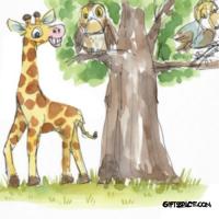 Gigi The Giraffe Helped The Birds