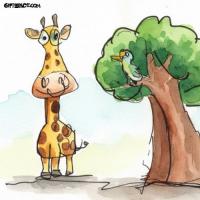 What Made The Giraffe Happy Again!