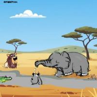Happy Animals In The Forest