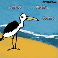Heron And The Turtles