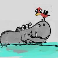 Hippo and the Red Bird