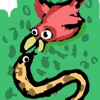 Snake And The Bird