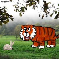 The Big Mistake Of Jimmy The Tiger