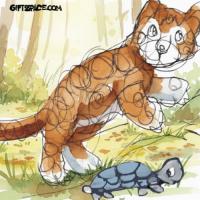 Leopard And The Moving Rock