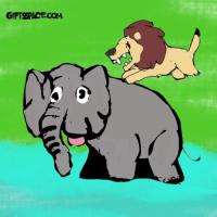 Lion's Tempting Offer