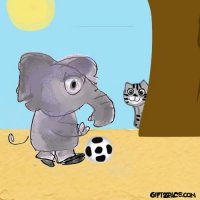 Football Playing Elephant