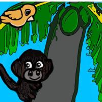 Monkey And The Bird