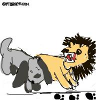 Missing Cub