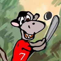 Baseball Practicing Monkey