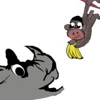 The Banana Magic Of The Monkey