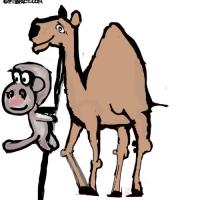 Welcome To The Promised Land