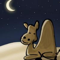 Bartholomew's Desert Dream
