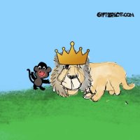 Introducing New King