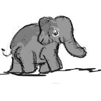 Red Bird And The Elephant