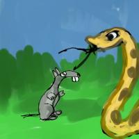 Rattlesnake And The Rat