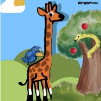 Giraffe And The Bird