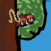 Snake And The Tiger