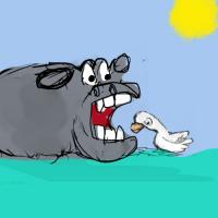 A Sneak Peak Into Mouth Of The Hippo