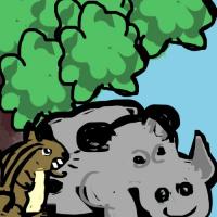 Squirrel And The Rhino