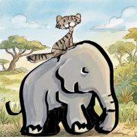 Taming A Wild Elephant The Tiger Way
