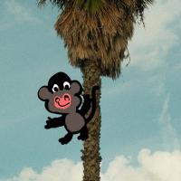 The Monkey Teaser