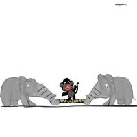 Thugh Of War Two Elephants