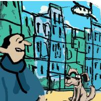 A Day In A Street Dog's Life