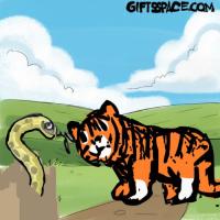The Tiger and the Warning Snake