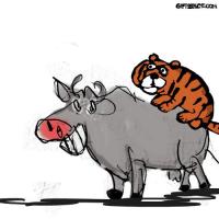 Topsy-Turvy Tiger and the Tricky Bull