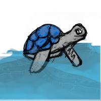 Turtle To The Bottom Of The Ocean