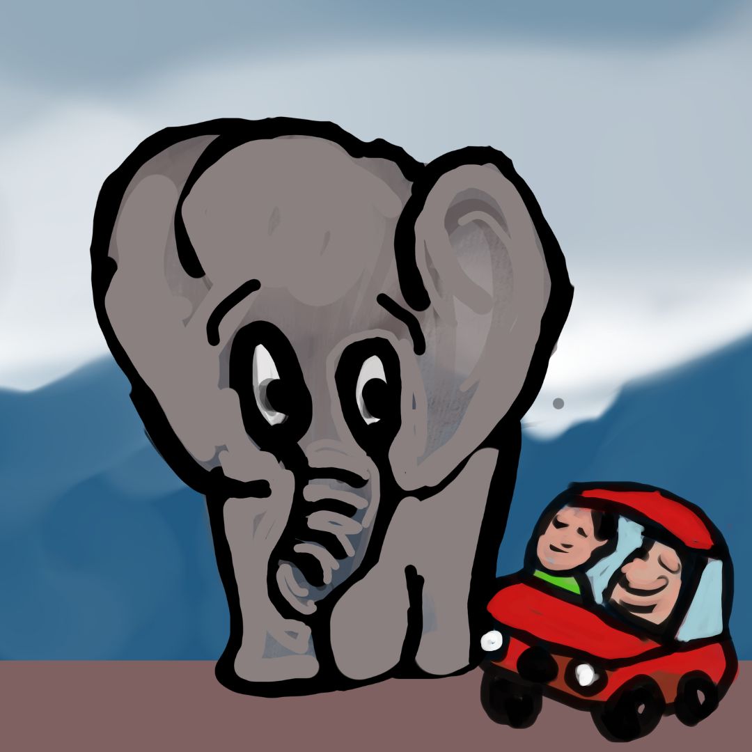 elephant and the car